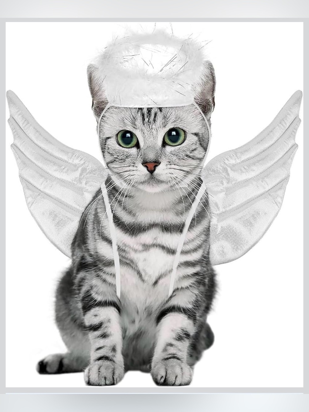 🐶🐰White Angel Wings and Halo Costume for Cats - Cute Pet Dress-Up